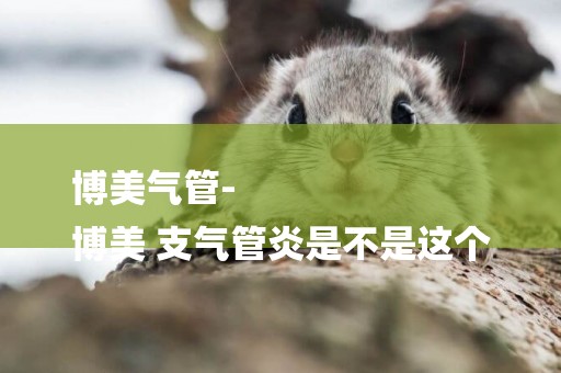 博美氣管-
博美 支氣管炎是不是這個