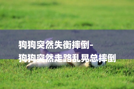 狗狗突然失衡摔倒-
狗狗突然走路亂晃總摔倒