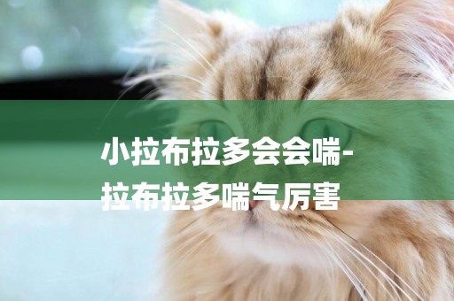 小拉布拉多會會喘-
拉布拉多喘氣厲害