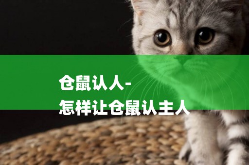 倉鼠認人-
怎樣讓倉鼠認主人