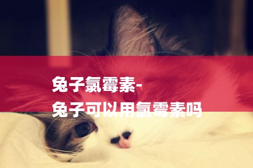 兔子氯霉素-
兔子可以用氯霉素嗎