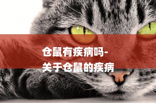 倉鼠有疾病嗎-
關于倉鼠的疾病