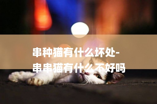 串種貓有什么壞處-
串串貓有什么不好嗎
