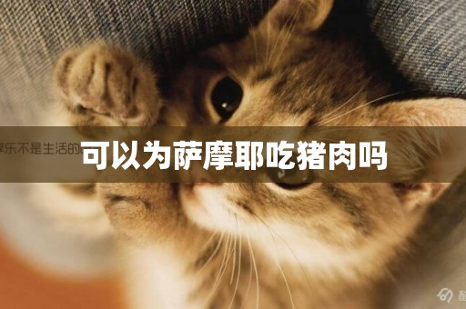 可以為薩摩耶吃豬肉嗎