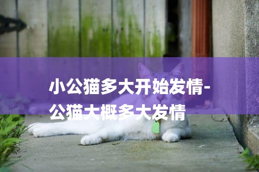 小公貓多大開始發情-
公貓大概多大發情