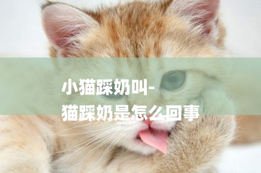 小貓踩奶叫-
貓踩奶是怎么回事