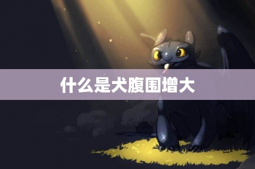 什么是犬腹圍增大