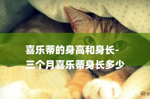 喜樂蒂的身高和身長-
三個月喜樂蒂身長多少