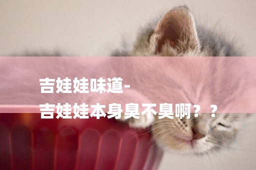 吉娃娃味道-
吉娃娃本身臭不臭啊？？