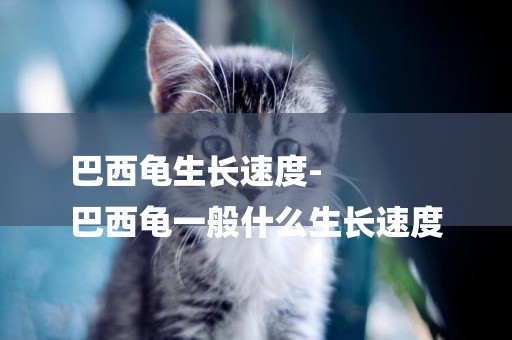巴西龜生長速度-
巴西龜一般什么生長速度