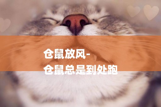 倉鼠放風-
倉鼠總是到處跑