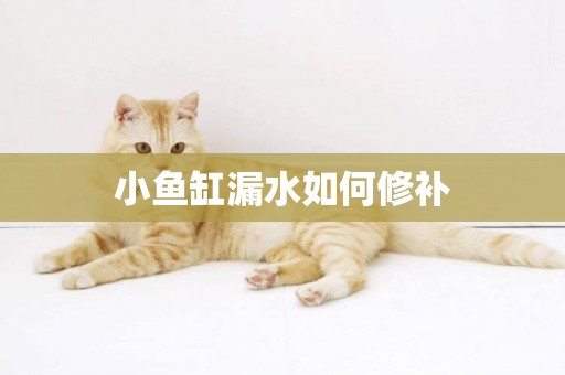 小魚缸漏水如何修補