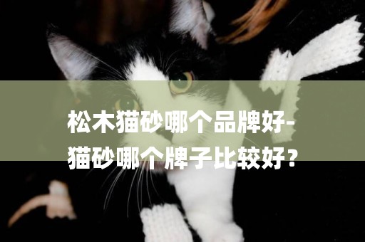 松木貓砂哪個品牌好-
貓砂哪個牌子比較好？