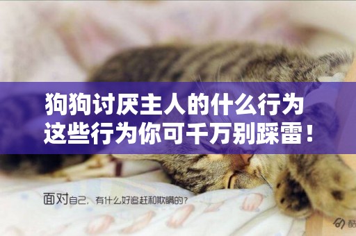 狗狗討厭主人的什么行為 這些行為你可千萬別踩雷！