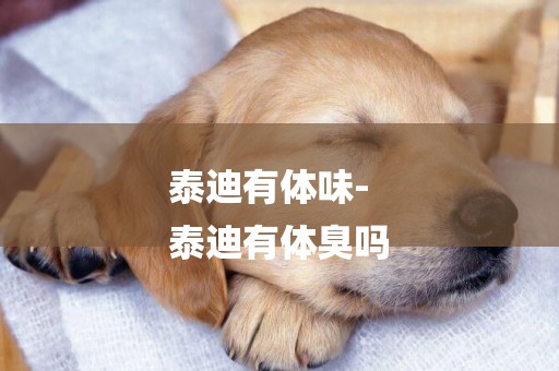 泰迪有體味-
泰迪有體臭嗎