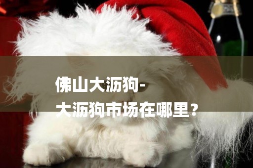 佛山大瀝狗-
大瀝狗市場在哪里？