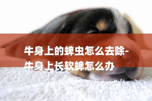 牛身上的蜱蟲怎么去除-
牛身上長軟蜱怎么辦