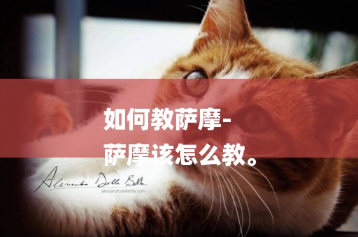 如何教薩摩-
薩摩該怎么教。