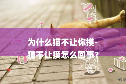 為什么貓不讓你摸-
貓不讓摸怎么回事？
