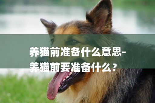 養貓前準備什么意思-
養貓前要準備什么？