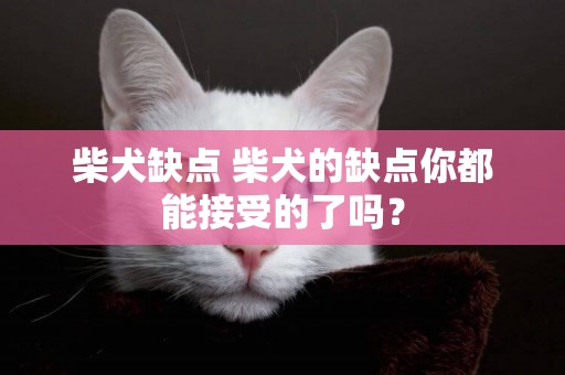 柴犬缺點 柴犬的缺點你都能接受的了嗎？