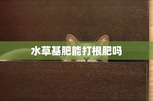 水草基肥能打根肥嗎