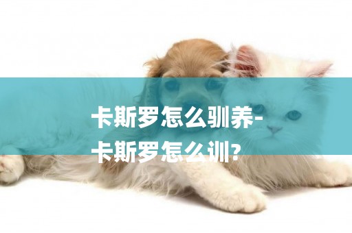 卡斯羅怎么馴養-
卡斯羅怎么訓?