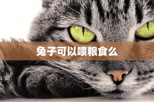 兔子可以喂糧食么