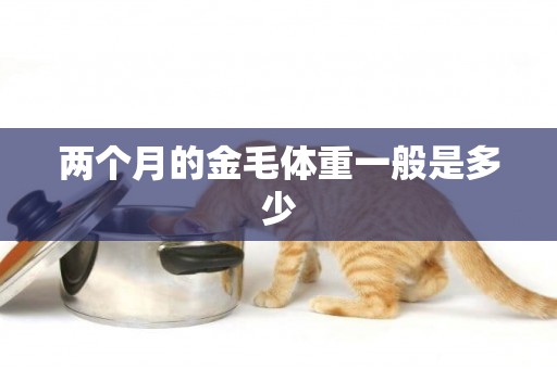 兩個月的金毛體重一般是多少