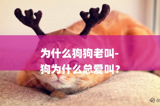 為什么狗狗老叫-
狗為什么總愛叫？