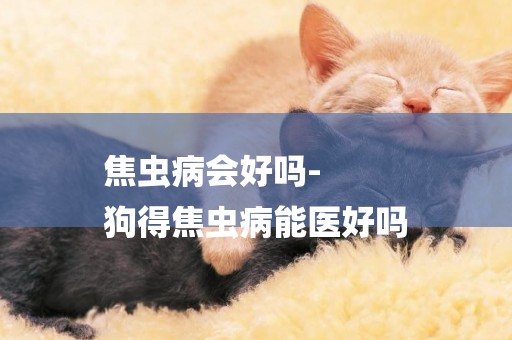 焦蟲病會好嗎-
狗得焦蟲病能醫好嗎