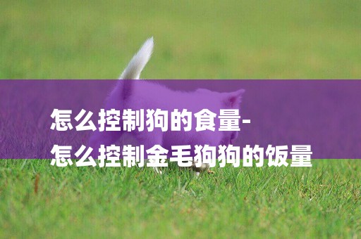 怎么控制狗的食量-
怎么控制金毛狗狗的飯量