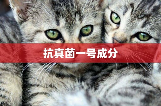 抗真菌一號成分