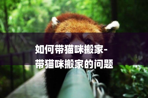 如何帶貓咪搬家-
帶貓咪搬家的問題