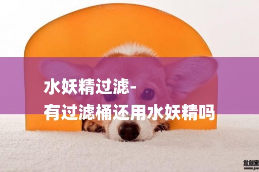 水妖精過濾-
有過濾桶還用水妖精嗎