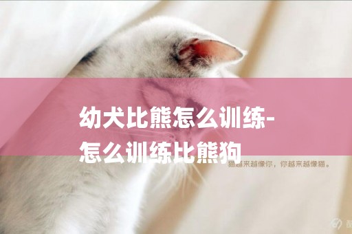 幼犬比熊怎么訓練-
怎么訓練比熊狗