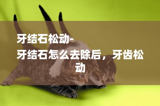 牙結石松動-
牙結石怎么去除后，牙齒松動