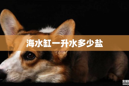海水缸一升水多少鹽