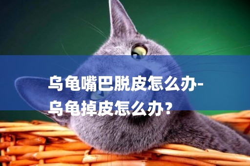烏龜嘴巴脫皮怎么辦-
烏龜掉皮怎么辦？