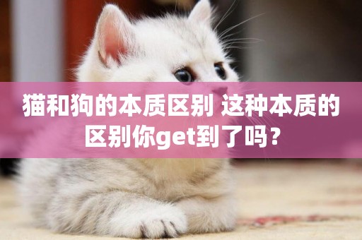貓和狗的本質區別 這種本質的區別你get到了嗎？