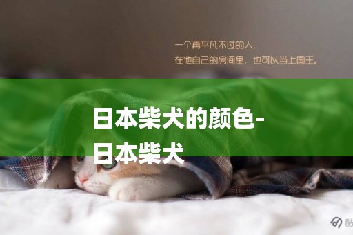 日本柴犬的顏色-
日本柴犬