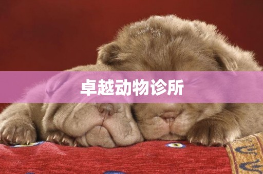 卓越動物診所