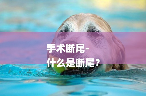 手術斷尾-
什么是斷尾？