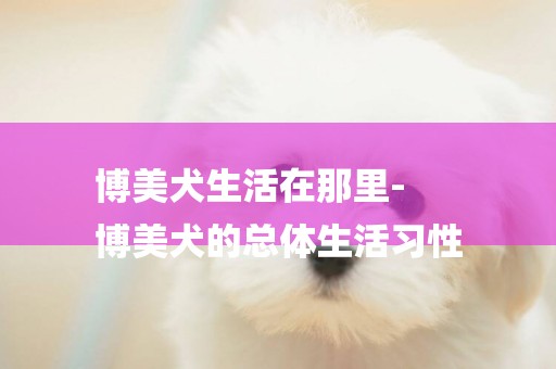 博美犬生活在那里-
博美犬的總體生活習性