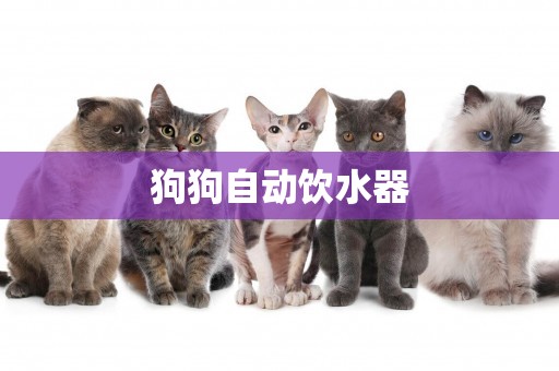 狗狗自動飲水器