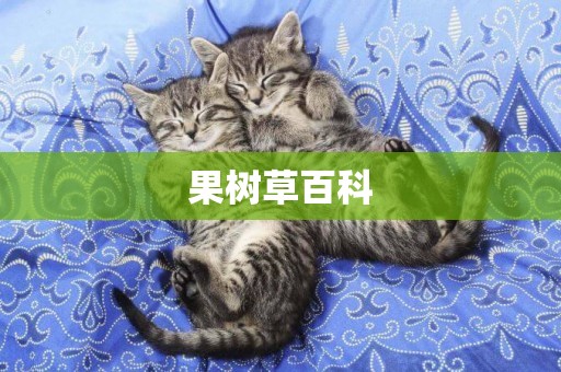 果樹草百科