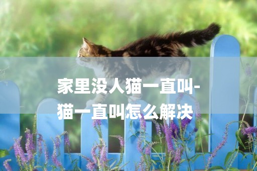 家里沒人貓一直叫-
貓一直叫怎么解決