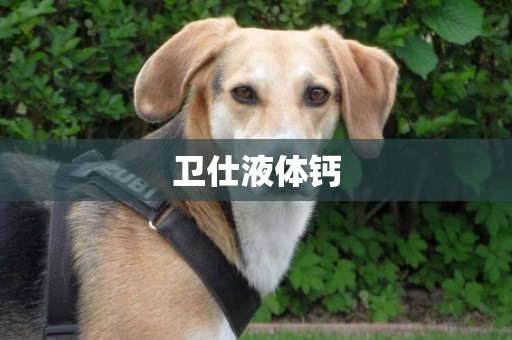衛仕液體鈣