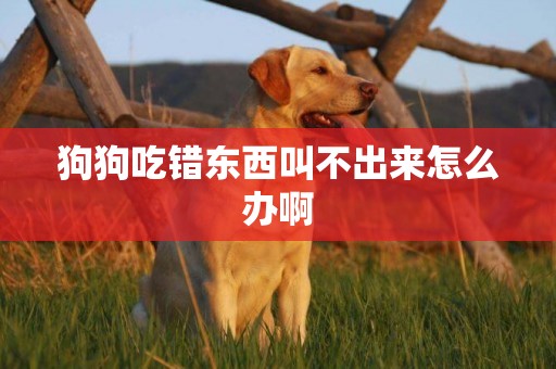 狗狗吃錯東西叫不出來怎么辦啊