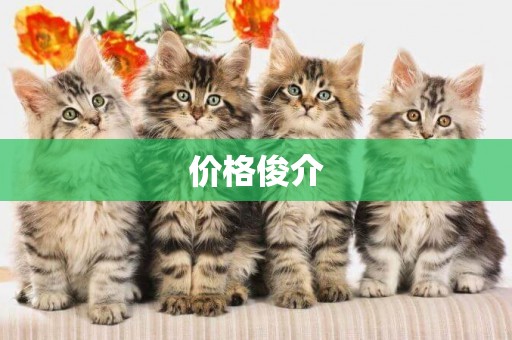 價格俊介